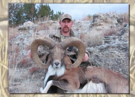 record red sheep